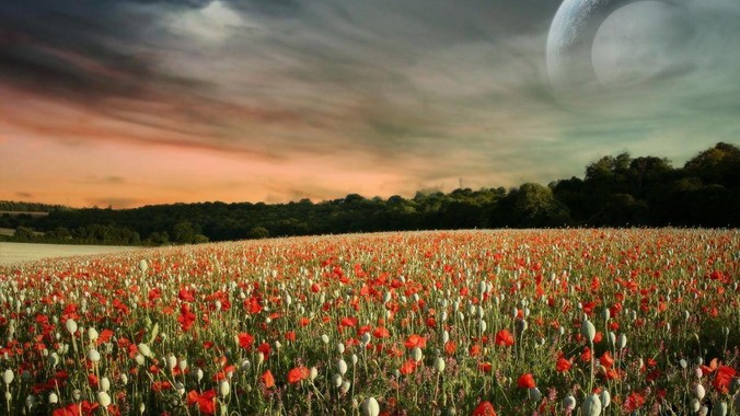 各位都在用Docker跑些什么呢？